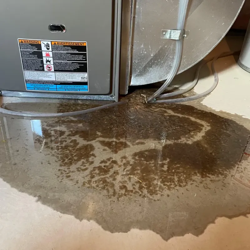 Appliance Leak Cleanup in East Port Orchard, WA